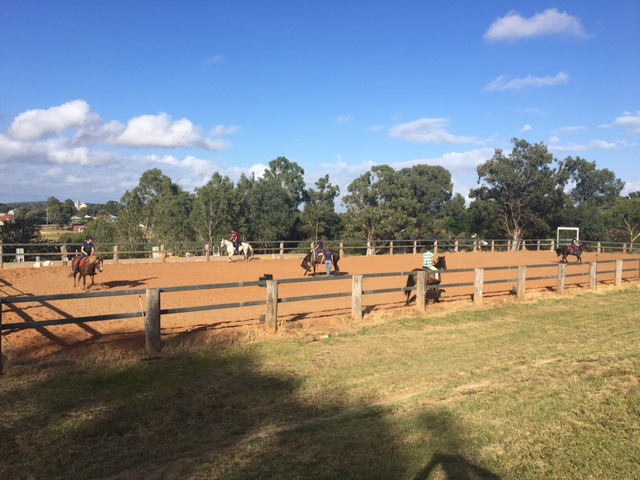 The latest from the Equestrian Centre featured image