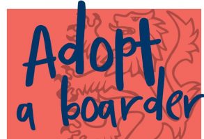 Adopt a Boarder | Next weekend! featured image