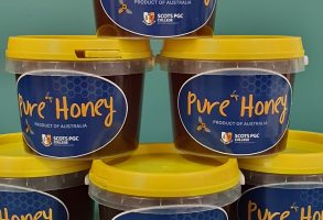 Pure SCOTS PGC Honey for sale featured image