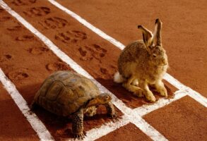 The Tortoise and the Hare featured image