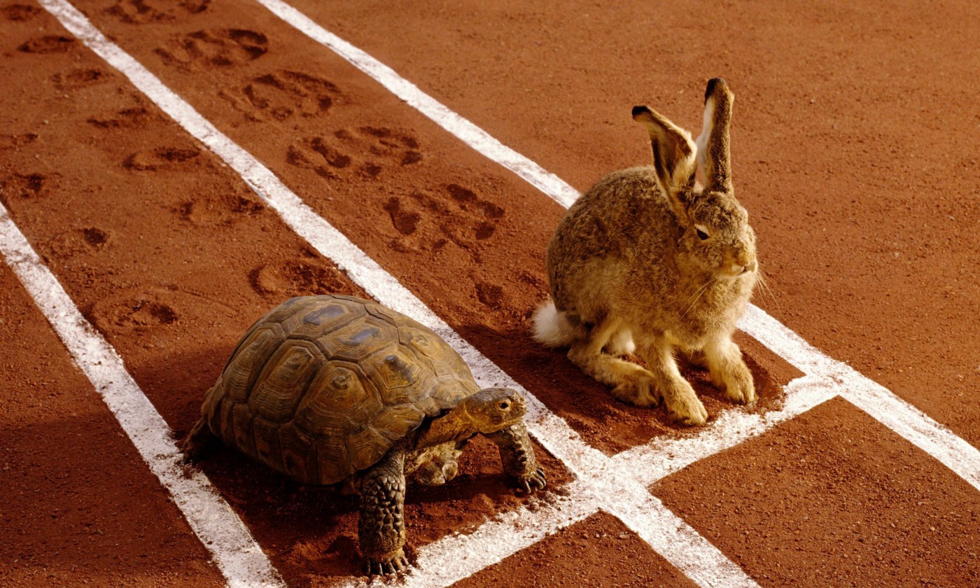 The Tortoise and the Hare featured image